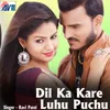 About Dil Ka Kare Luhu Puchu Song